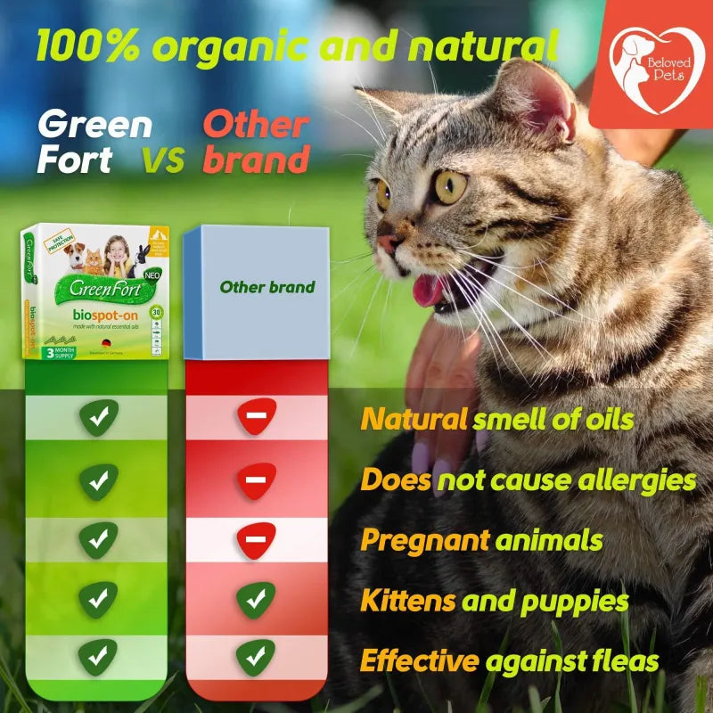 Flea And Tick Prevention For