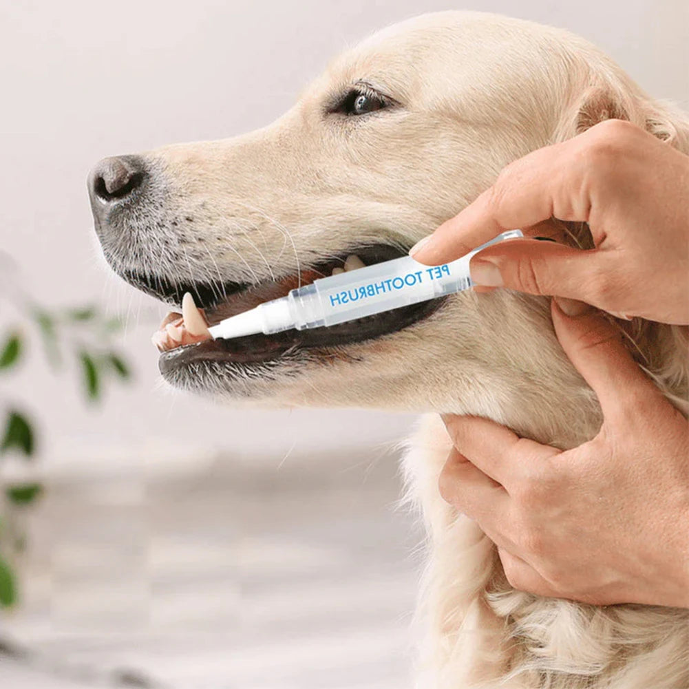 Pet Toothbrush