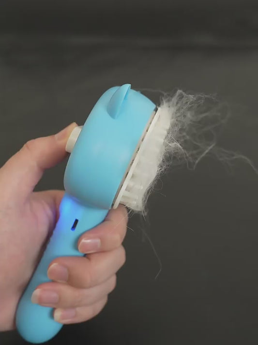 Pitti Hair Remover Brush